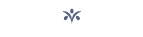 button icon