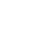 security icon
