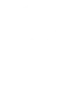 shield icon